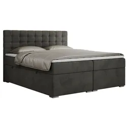 BOXBETT SUSAN 180/200 Dunkelgrau Velvet - H3