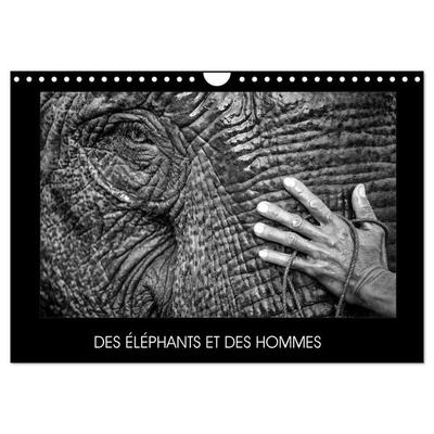 DES ÉLÉPHANTS ET DES HOMMES (Calendrier mural 2026 DIN A4 vertical), CALVENDO calendrier mensuel