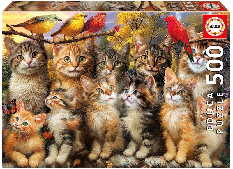 Puzzle 500 pcs Chatons et oiseaux - Educa