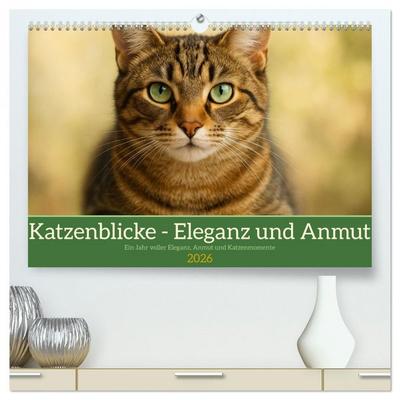 Katzenblicke – Eleganz und Anmut (hochwertiger Premium Wandkalender 2026 DIN A2 quer), Kunstdruck in Hochglanz