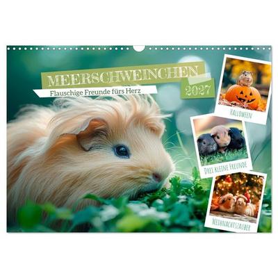 Meerschweinchen - Flauschige Freunde fürs Herz (Wandkalender 2027 DIN A3 quer), CALVENDO Monatskalender