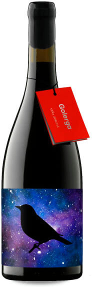 Proyecto Zorzal Viña Zorzal Golerga 2024 - 75cl