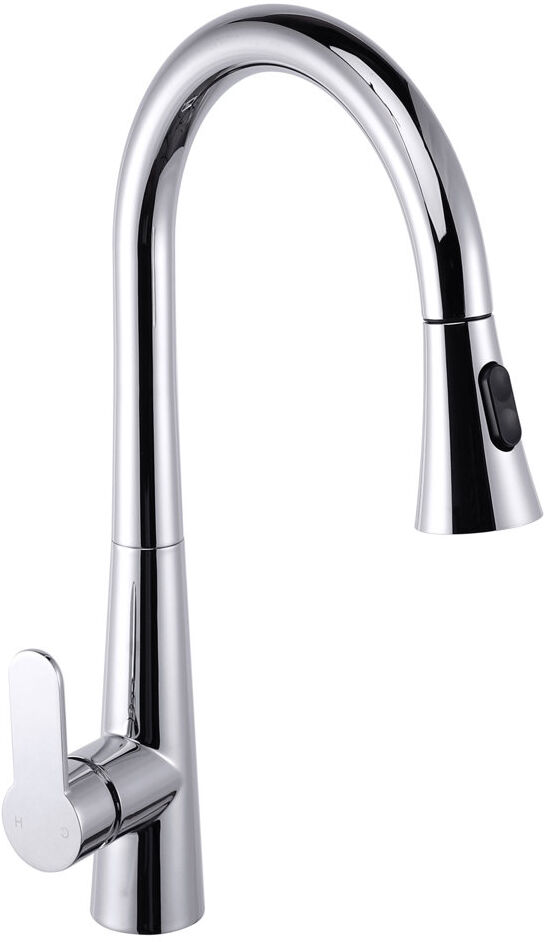 Belfry Kitchen Galvez Pull Out Kitchen Faucet Brilliante Polished Chrome 22.5cm
