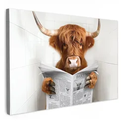 LEINWANDBILD Schottischer Highlander - Tier - Zeitung - Toilette Wohnzimmer Groß 120x80 cm