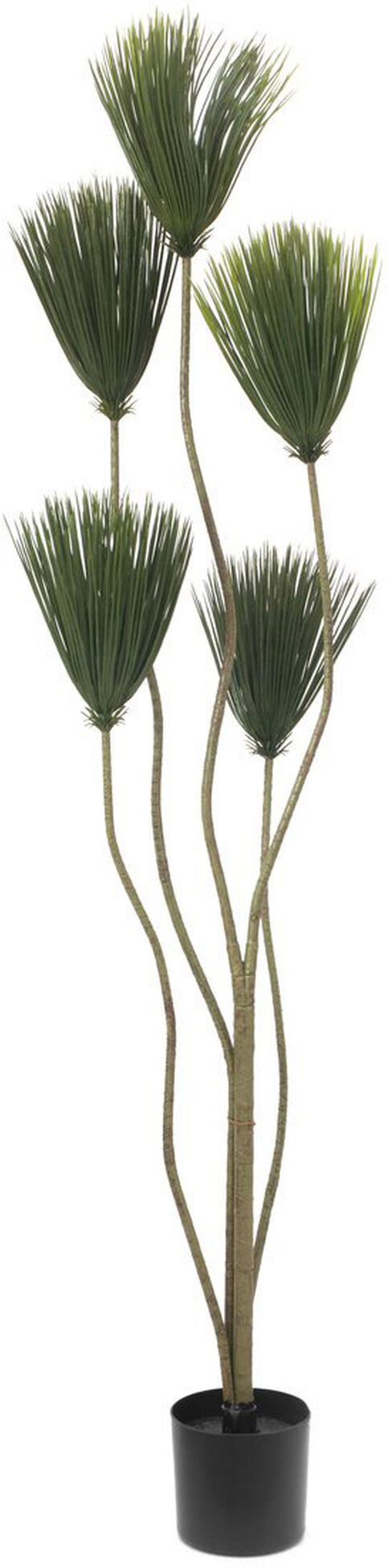 Europalms Papyrus, Kunstpflanze, 130cm