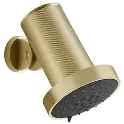Gessi Habito Antikalk-Kopfbrause mit Gelenk, Regen, Wandmontage, RIGATO, 57271727, Farbe: Messing gebürstet PVD