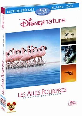 Matthew Aeberhead - Les ailes pourpres [Blu-ray] [FR Import] - Preis vom 12.10.2026 11:37:12 h