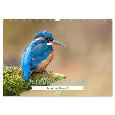 Der blaue Diamant - Fotos vom Eisvogel (Wandkalender 2027 DIN A3 quer), CALVENDO Monatskalender