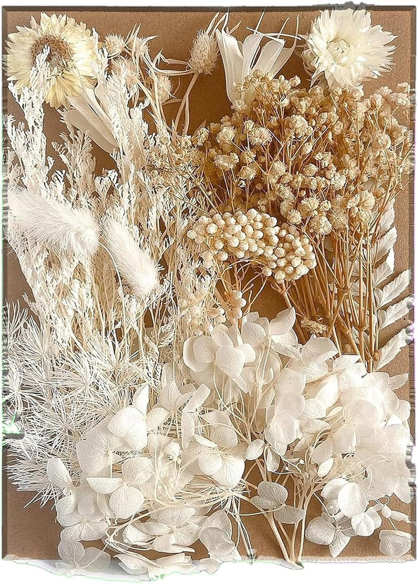 Natuurlijk droogboeket van wit sluierkruid voor decoratie en knutselen