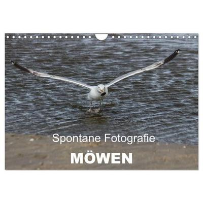 Spontane Fotografie - Möwen (Wandkalender 2027 DIN A4 quer), CALVENDO Monatskalender