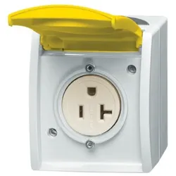 Busch-Jaeger Steckdose 3016 EWN-53