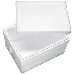 VEPATIM 6x Isolierboxen mit Deckel aus Styropor EPS 540 x 420 x 320 mm 45 Liter