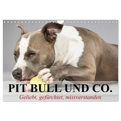 Pit Bull und Co. - Geliebt, gefürchtet, missverstanden (Wandkalender 2027 DIN A4 quer), CALVENDO Monatskalender