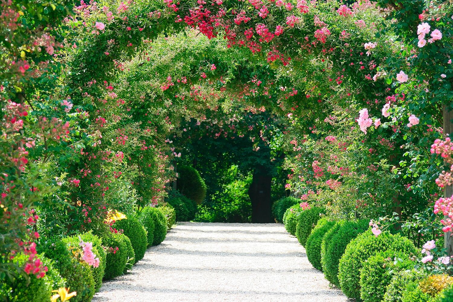 Fototapete PAPERMOON "Rose Arch Garden", bunt, B:1,5m L:1,11m, Vlies, Tapeten, Fototapete bunt B/L: 1,5m x 1,11m