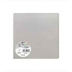 Pollen 250x Pollen, Karten 160x160 mm, 210g - Silber 1189C