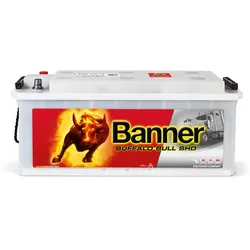 12V 170Ah 1000A Banner Buffalo Bull SHD 67033 LKW Batterie