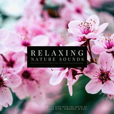 Ultimate Relaxing Nature Sounds with Relaxing Music for Meditation, Study, Mindfulness & Deep Sleep - Joshua Armentraut, Audio, 4064066927424
