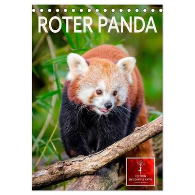 Roter Panda (Tischkalender 2027 DIN A5 hoch), CALVENDO Monatskalender
