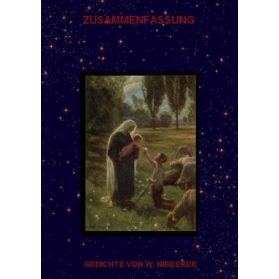 Zusammenfassung, Taschenbuch von Werner Niederer, Traugott Bautz, 978-3-88309-425-0