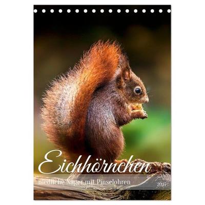 Niedlicher Nager - Das Eichhörnchen (Tischkalender 2027 DIN A5 hoch), CALVENDO Monatskalender