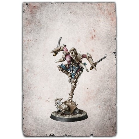 Para Bellum PBW7112