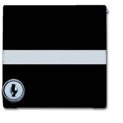 Busch-Jaeger Abdeckung Allwetter 44 (IP44) Anthrazit, Schwarz-Grau 2CKA001710A3794 1 St.
