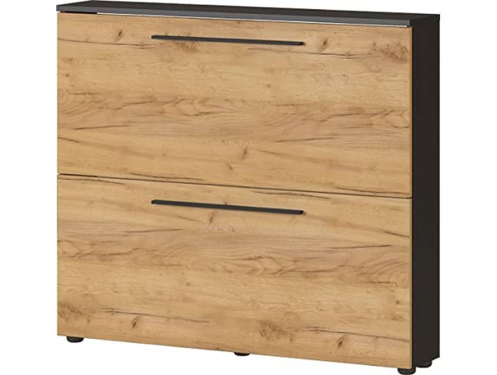 Germania Schuhschrank 3883-549 GW-Wildomar, in Graphit/Navarra-Eiche-Nb., Platz für bis zu 8 Paar Schuhe, geringe Tiefe - ideal für schmale Flure, 100 x 85 x 19 cm (BxHxT)