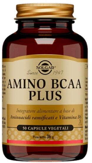 SOLGAR IT. MULTINUTRIENT SpA Solgar - Amino BCAA Plus 50 capsule vegetali - Integratore di Amminoacidi Ramificati con Vitamina B6