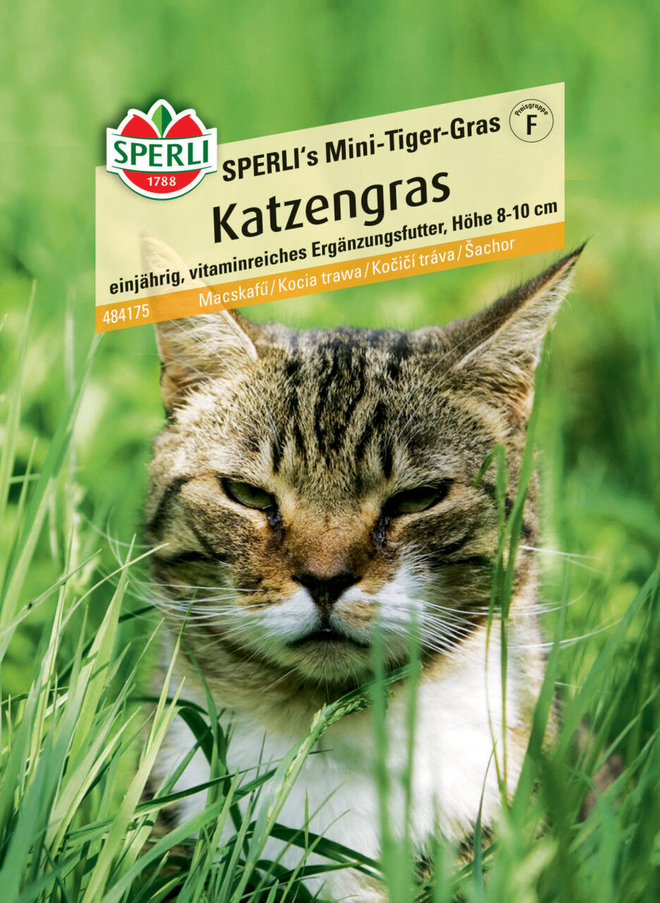 Sperli Katzengras SPERLI's Mini-Tiger-Gras