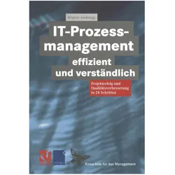 IT-Prozessmanagement effizient und verständlich, Fachbücher von Brigitte Anderegg