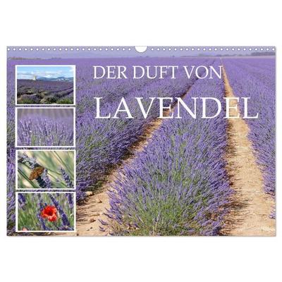 Der Duft von Lavendel (Wandkalender 2026 DIN A3 quer), CALVENDO Monatskalender