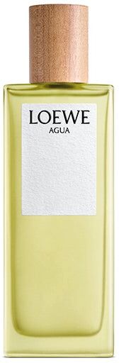 Loewe Agua 100Ml