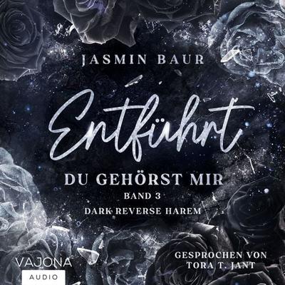 Du gehörst mir - Jasmin Baur, Audio, 4099995914665