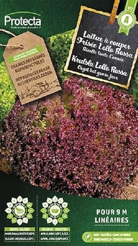 Protecta Krulsla Lollo Rossa Groentezaden
