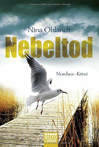 Nina Ohlandt - Nebeltod: Nordsee-Krimi (Hauptkommissar John Benthien, Band 3) - Preis vom 04.10.2026 03:51:26 h