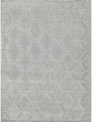 Exquisite Rugs Brunello Modern handloomed Silky Nylon Light Silver Area Rug