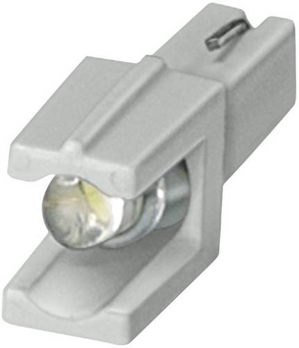 Siemens 5TG8056-0 LED-Lampe Klar 60V DC/AC 5St.