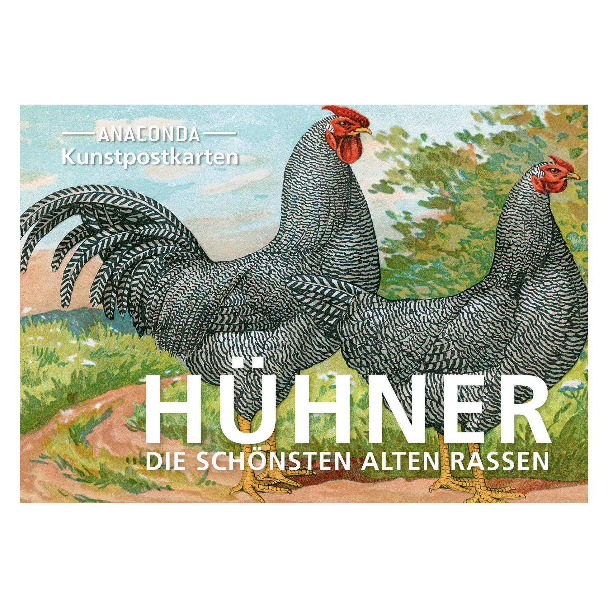 Anaconda Postkarten-Set Hühner (20 Stk.) (41457701)