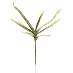 EUROPALMS Yuccazweig (EVA), künstlich, grün