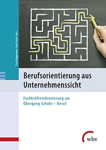 Tim Brüggemann - Berufsorientierung aus Unternehmenssicht: Fachkräfterekrutierung am Übergang Schule - Beruf - Preis vom 30.09.2026 22:30:23 h