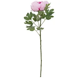 EUROPALMS Pfingstrosenzweig Classic, Kunstpflanze, pink, 80cm