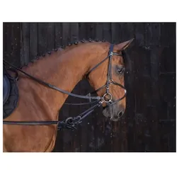 Riding World, Zaumzeug