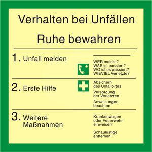 Abtec Hinweisschild ISO 7010, Kunststoff, 20x20 cm, nachleuchtend, Verhalten bei Unfällen