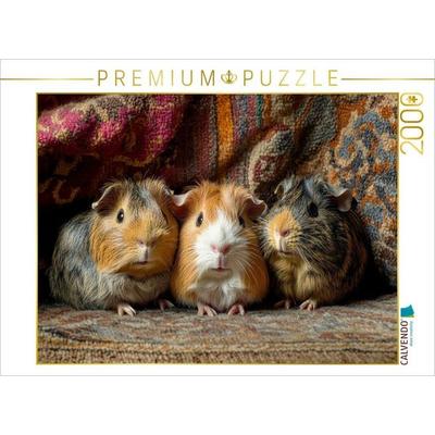 CALVENDO Puzzle Wenn Schnuten verzaubern - drei Meerschweinchen | 2000 Teile Lege-Größe 90x67cm Foto-Puzzle für glückliche Stunden