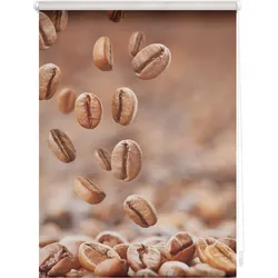 Lichtblick Rollo Klemmfix, ohne Bohren, blickdicht, Kaffee - Braun