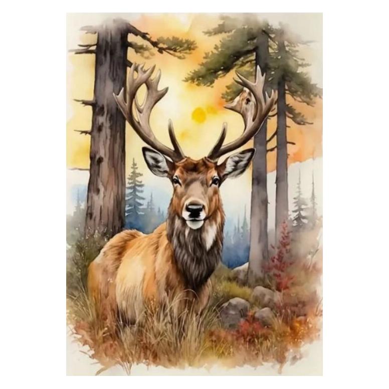 Norimpex Diamantové malování Jelen 30x40cm (2001706)