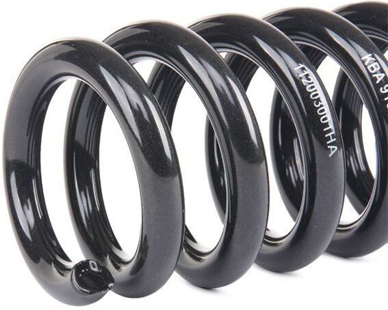 EIBACH E10-20-030-02-22 Suspension kit, coil springs