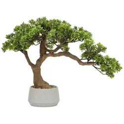 Atmosphera, Kunstpflanzen, Sztuczne drzewko bonsai POLIN, wys. 60 cm (60 cm)