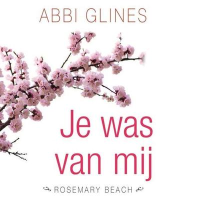 Je was van mij - Abbi Glines, Audio, 9789462533677
