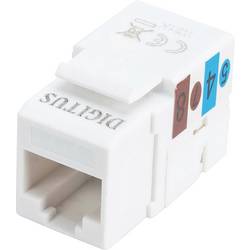 Digitus DN-93501 RJ45-Einbaumodul Keystone CAT 5e 1 St.